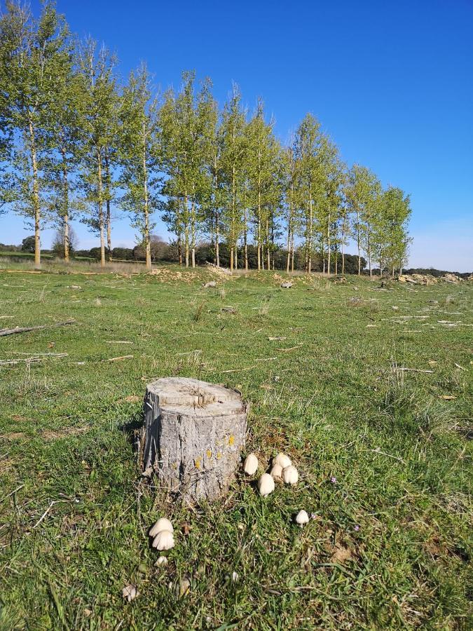 L' Abilleiru Albergue Rural Santibanez de Valdeiglesias Kültér fotó